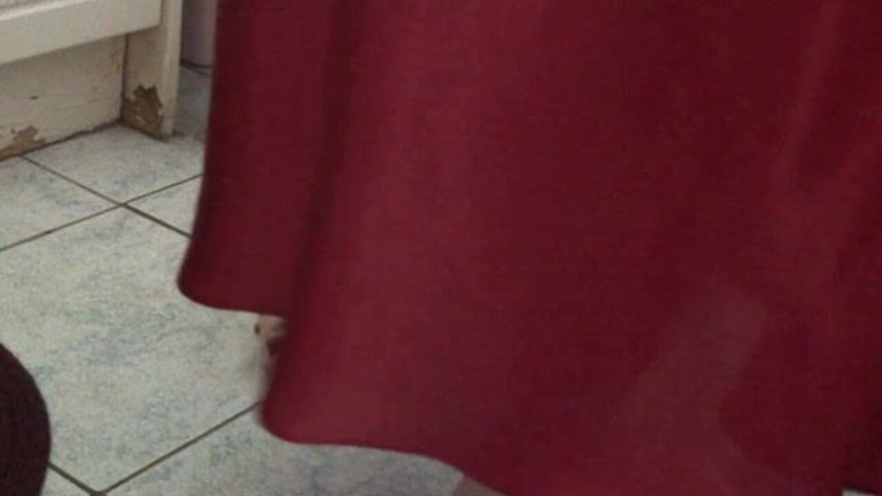 Get up close and personal with this scat porn video of a filthy slut getting her pussy drilled