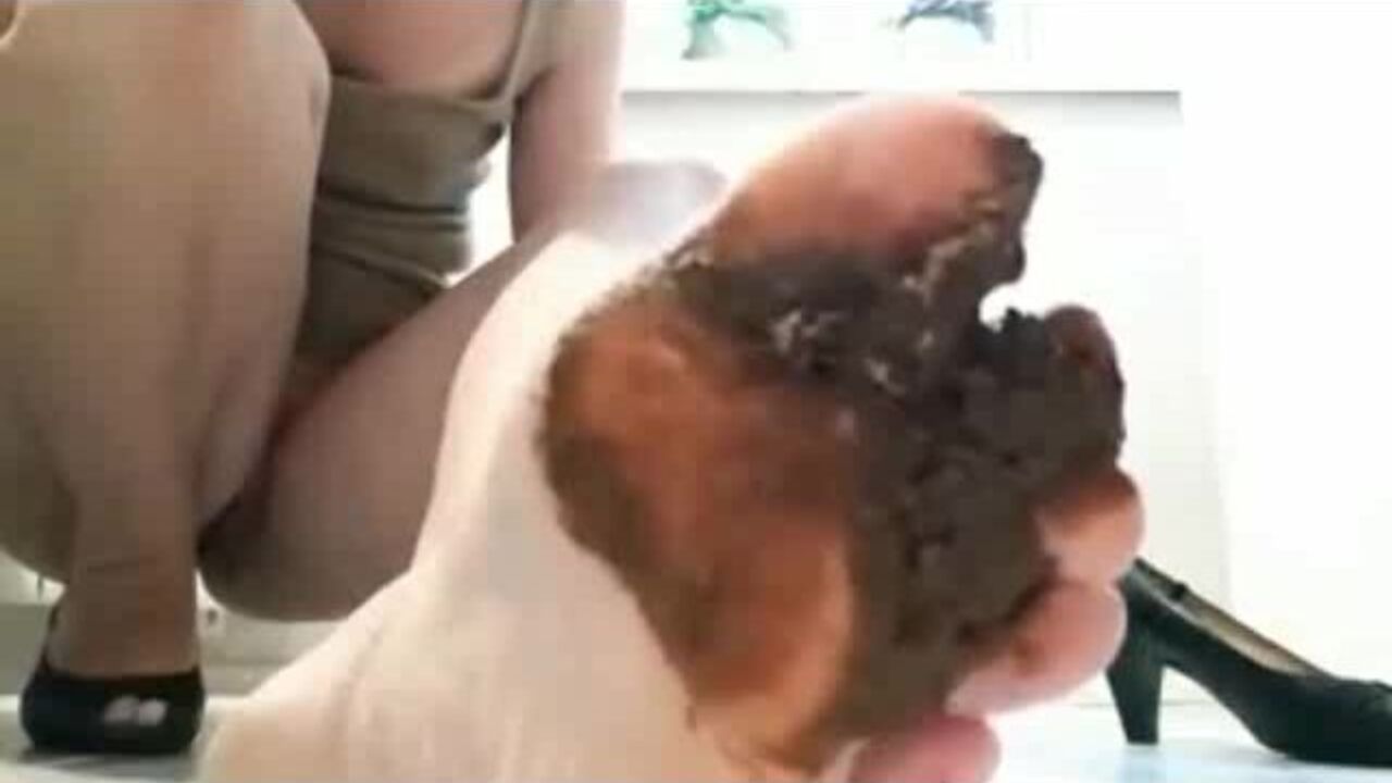 Watch as this scat slave gets dominated and fucked in life's brown side 1273