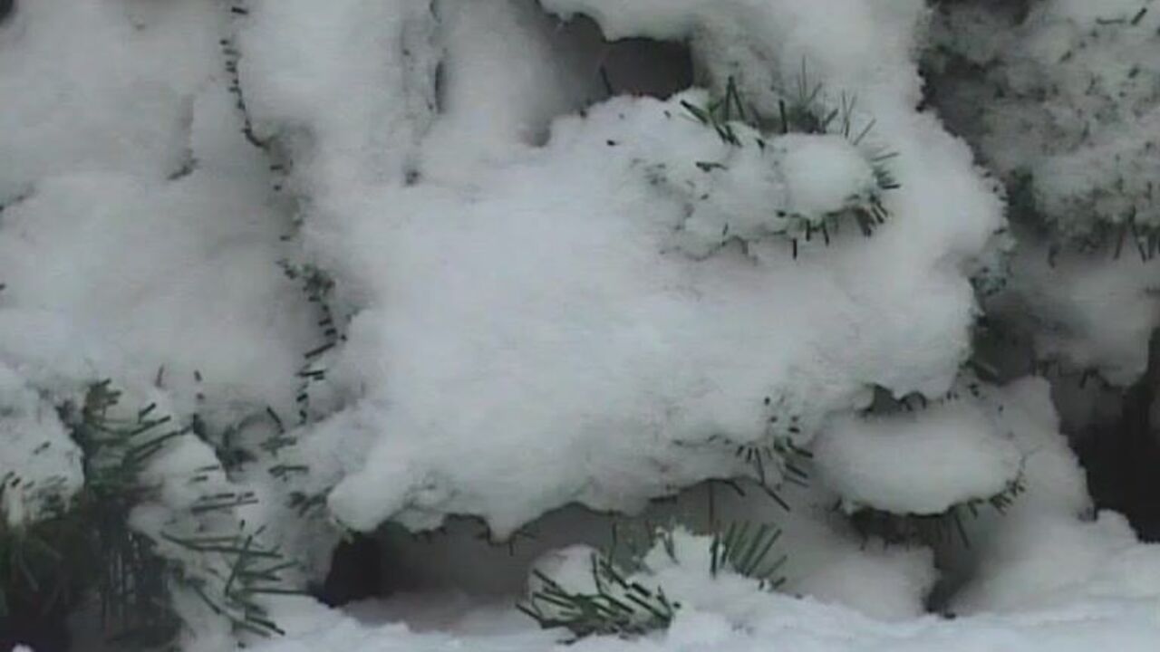 Get ready for some dirty fun as scat porn goes wild with poop porn and scat girls