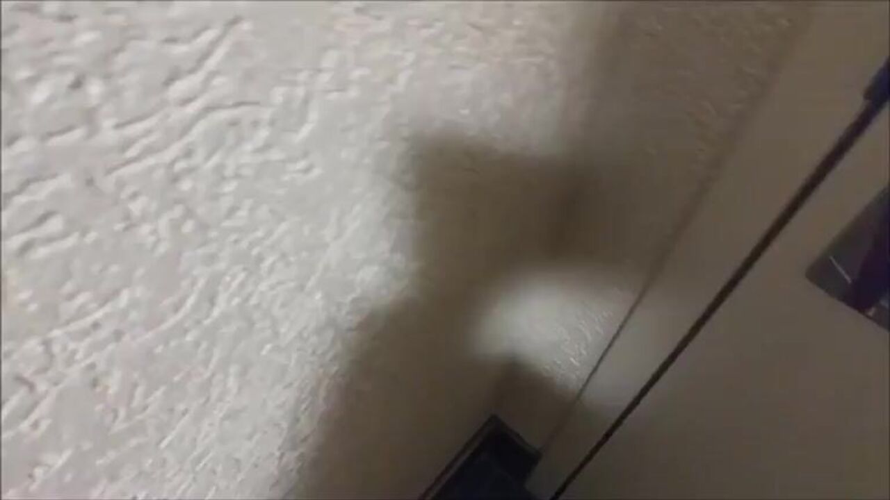 Hot hotel scat fun: Poop Funzies gets naughty in the hotel stairwell