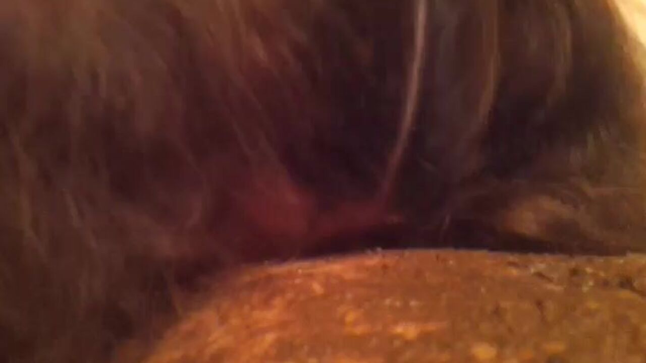 Scat porn dominated by Mr. Fog & Elle in Episode 2 - Surprised by Pop-corn!