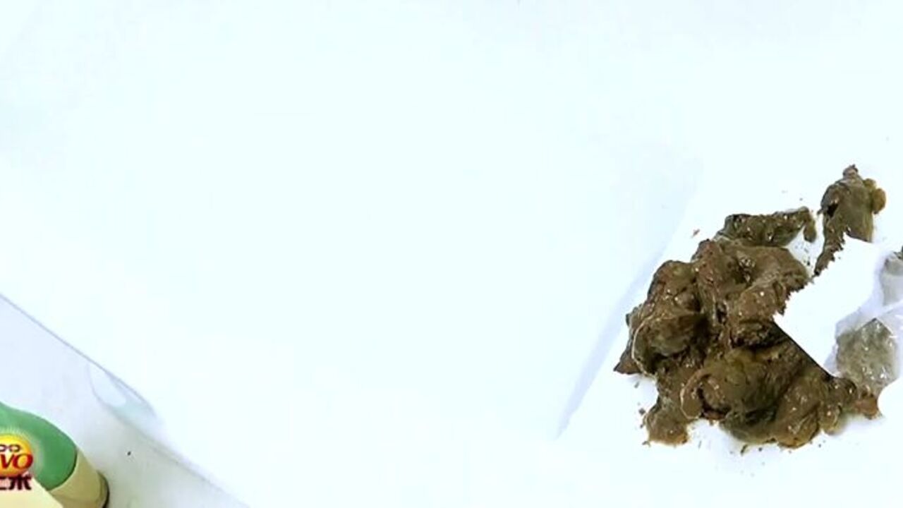 Watch this filthy video of a scatty babe getting her ass and pussy stuffed with scat and scat porn