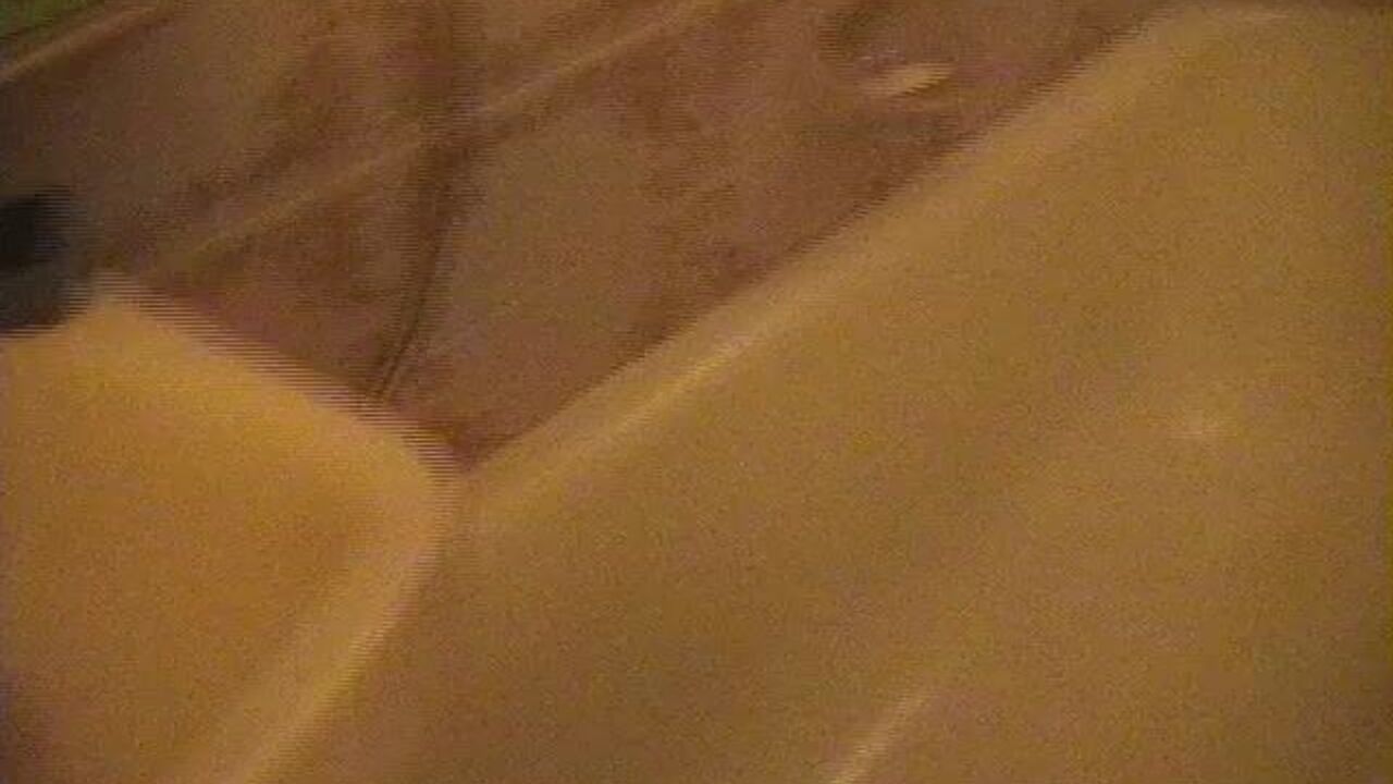 Watch these filthy scat babes get their pussies and holes drilled in this scat porn clip