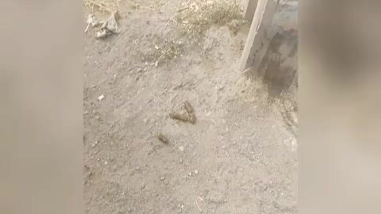 Watch this pathetic bitch devour man's scat with her mouth and ass