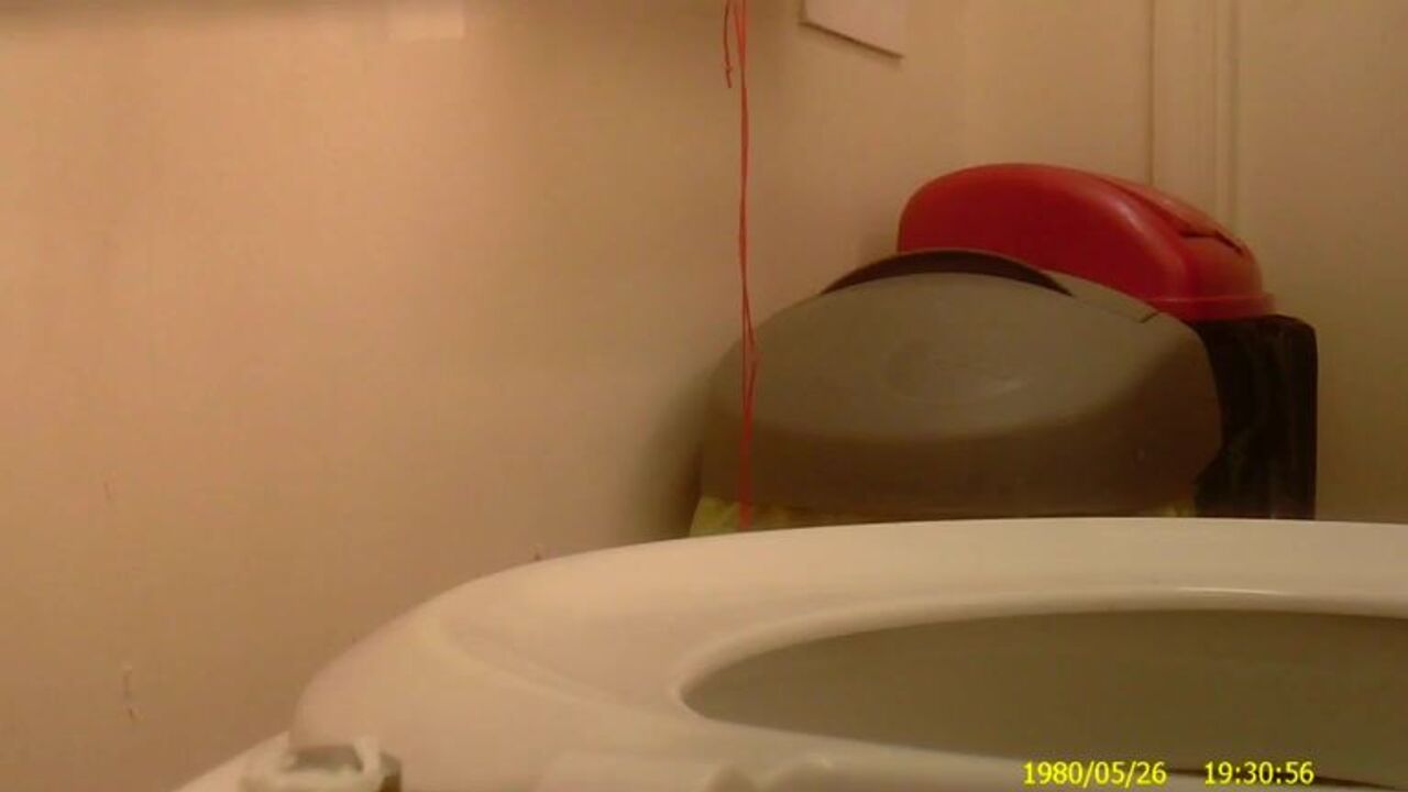 Watch this kinky slut get off on scat porn and slave videos