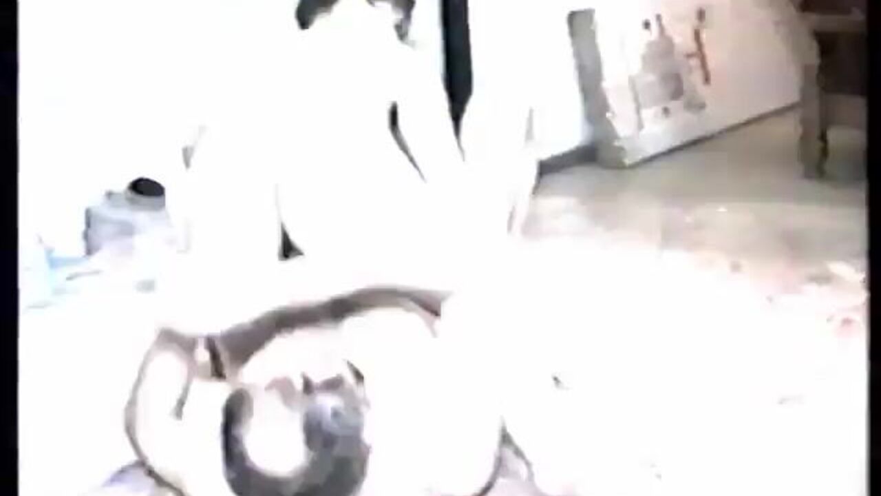 Watch Michaela Pervers go wild as she records herself in scat porn video