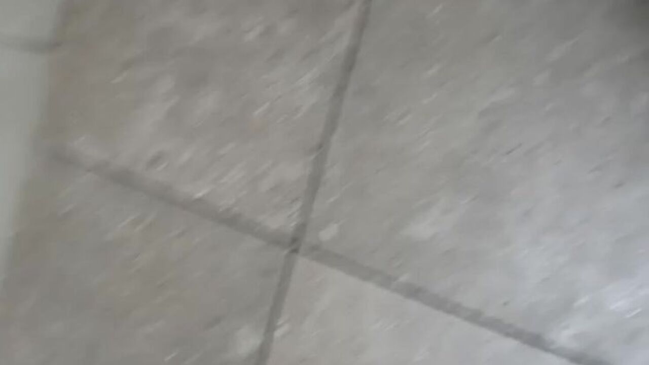 Watch this kinky scat porn video of a scat slave getting her pussy and ass stuffed with cock