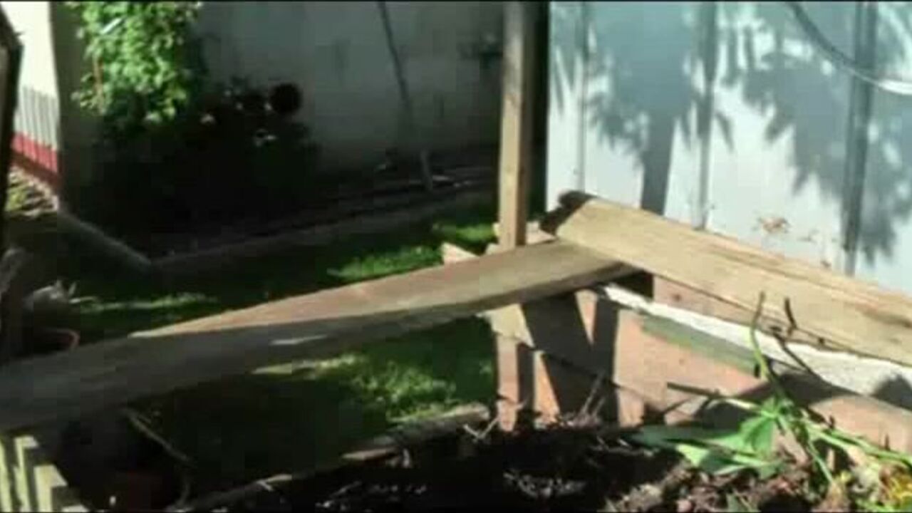 Watch these filthy slaves get scat and pissed on in their own scat videos