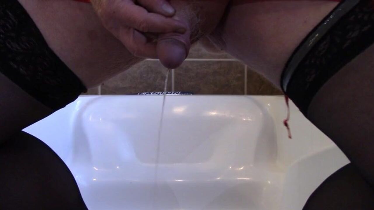 Get up close and personal with 31 days of piss & scat action - cd included!