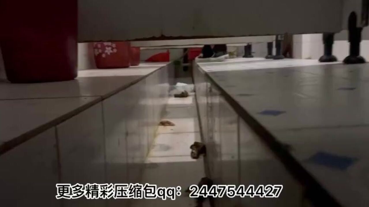 Watch these hot Chinese babes defecate in toilet while peeping on themselves