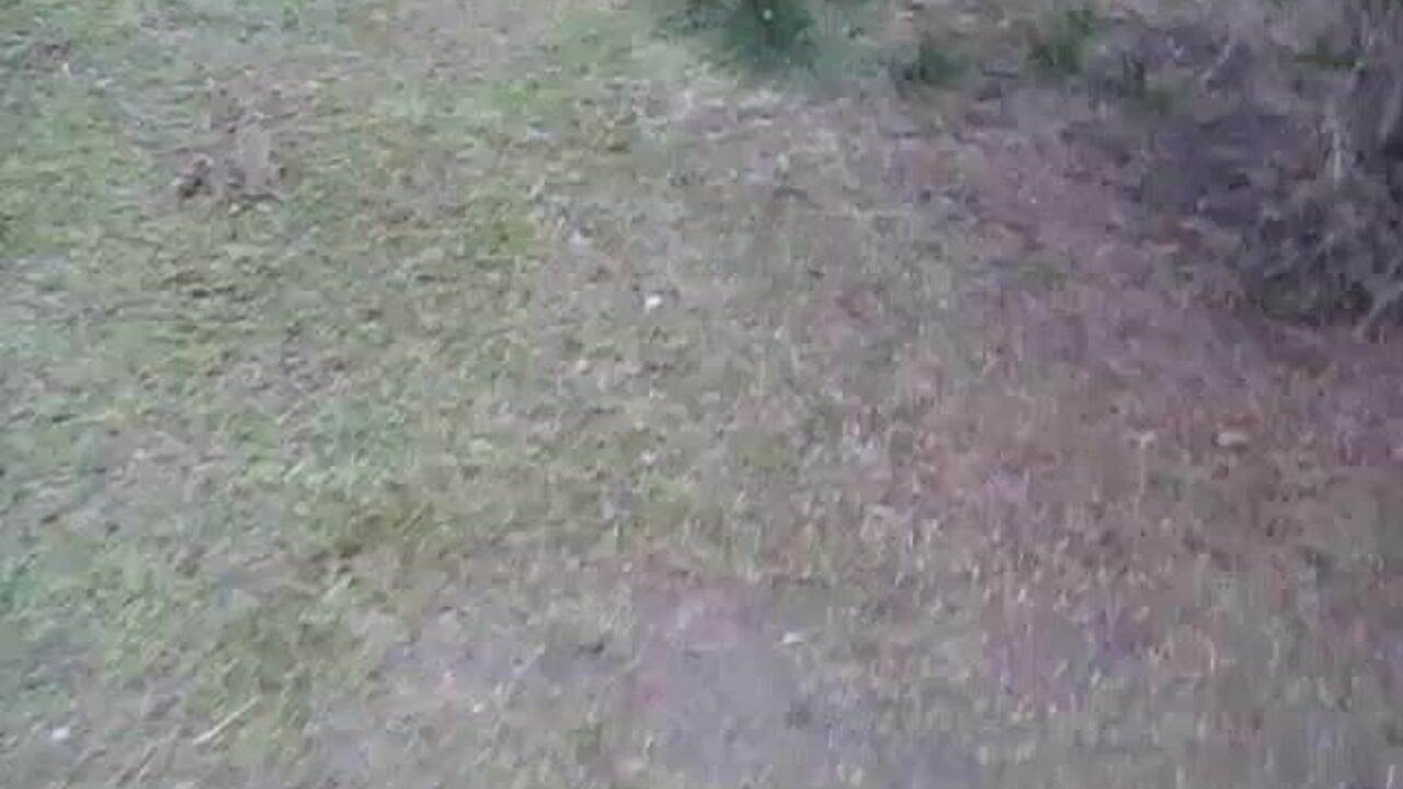 Ferkeline Outdoor 5: The wildest scat fetish porn ever made!