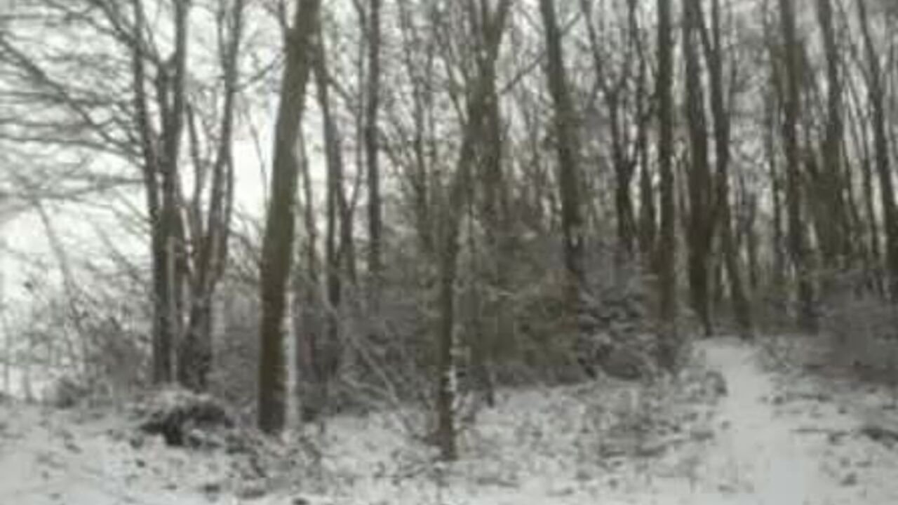 German BBW shits in snow & gets her booty pooped on