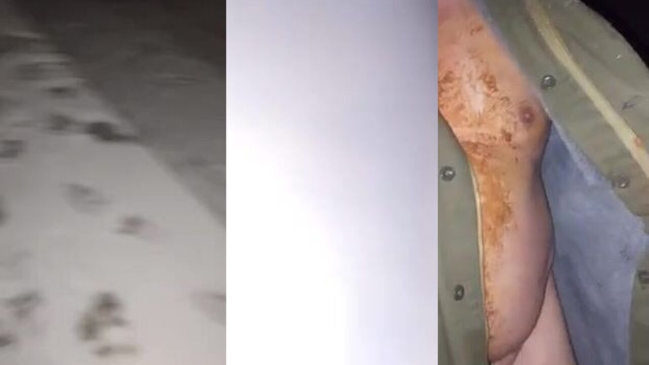 Wild scat flashing in the cold and snow