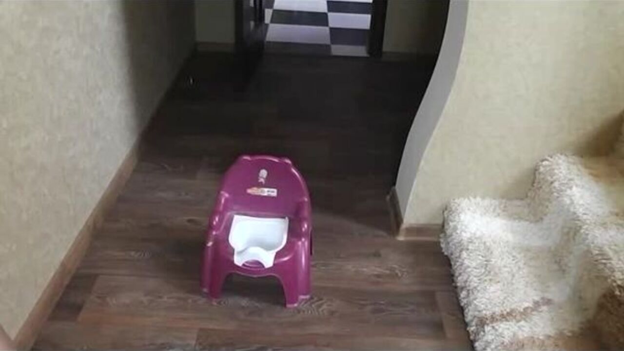 Watch this filthy porn video of scat girls getting pooped on in various positions