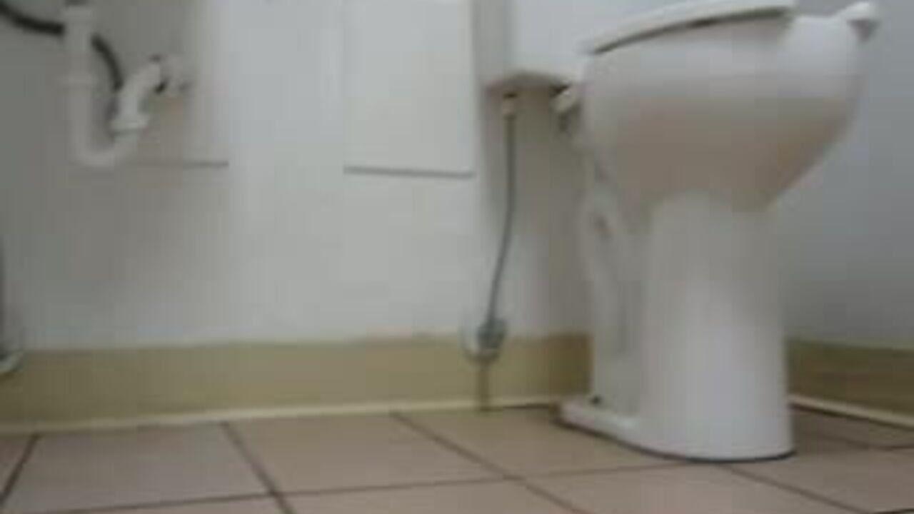 Get ready to drool as this scat porn video gets wild with poop slave