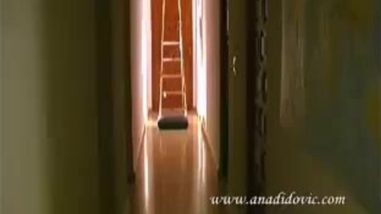 Watch as these filthy sluts scat & fuck in this scat porn video