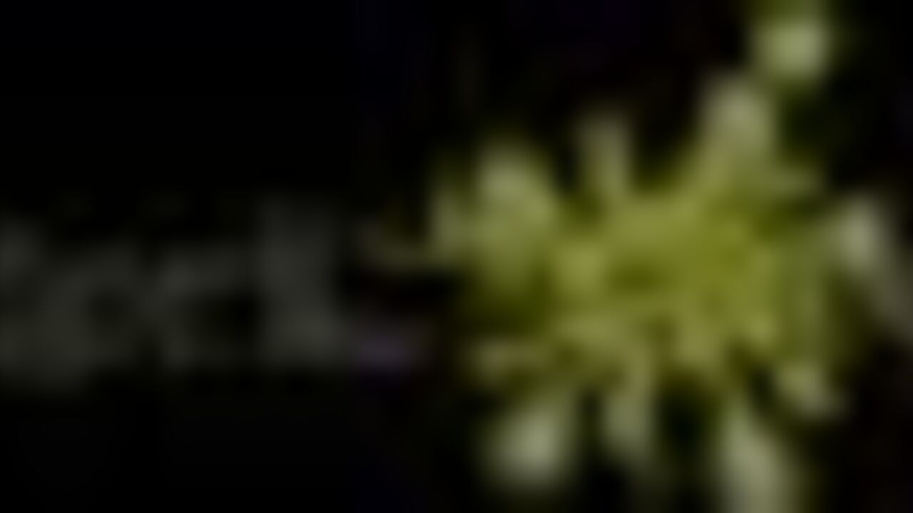 Watch this dirty scat porn video with a scat slave getting her ass and pussy eaten out