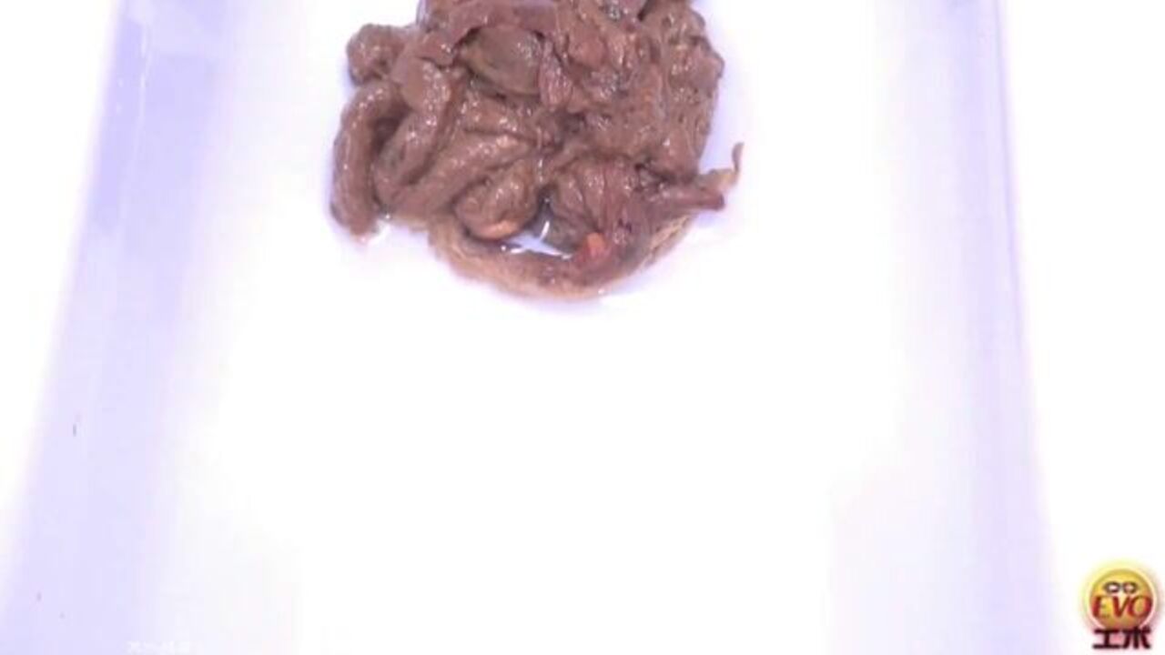 Get off to this poop porn video of a scatty slave getting drilled hard