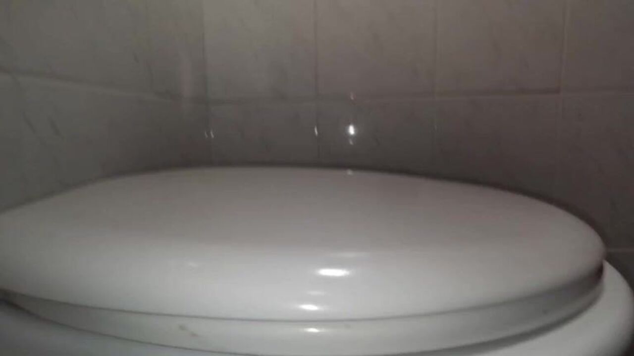 Watch these filthy scat babes get down and dirty in a wild pooped video