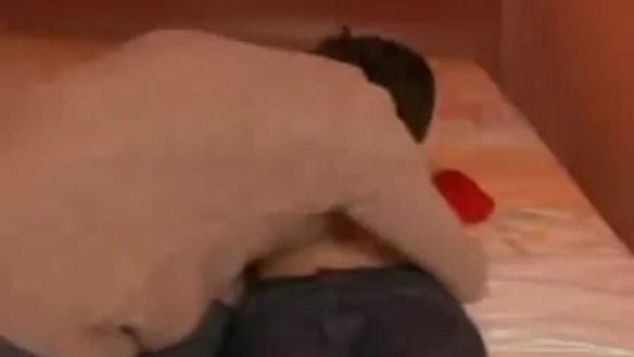 Watch this Russian slut get her pussy pounded and scat covered in this wild Russian porn video