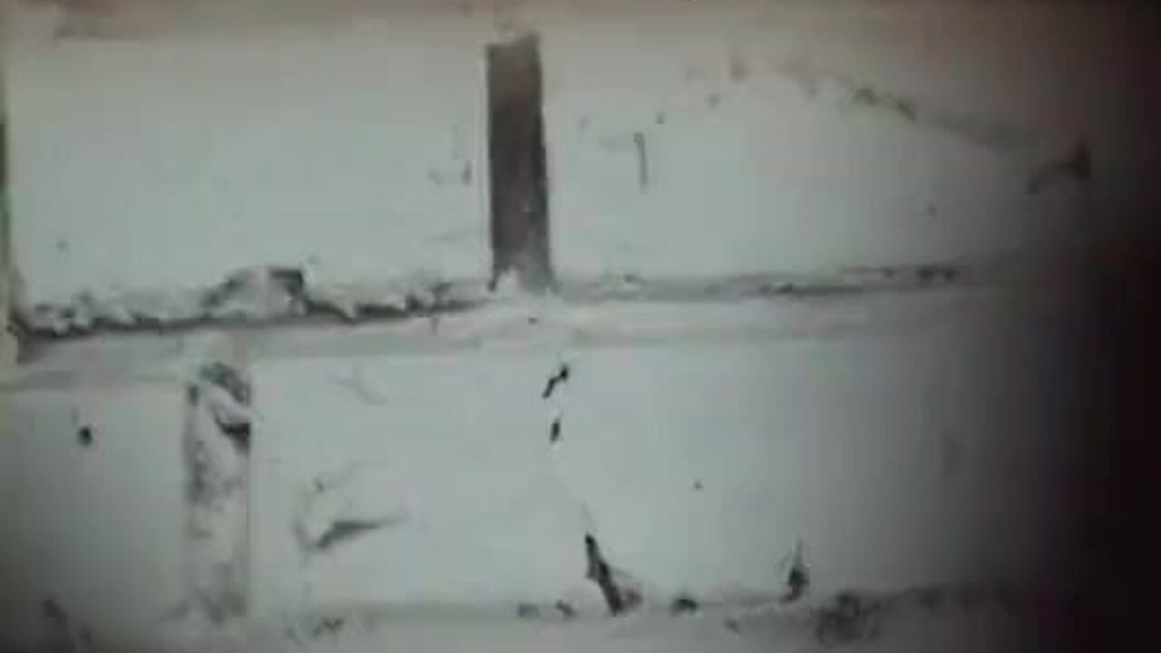 Sexy blonde slut gets her pussy and ass pounded in a kinky toilet video