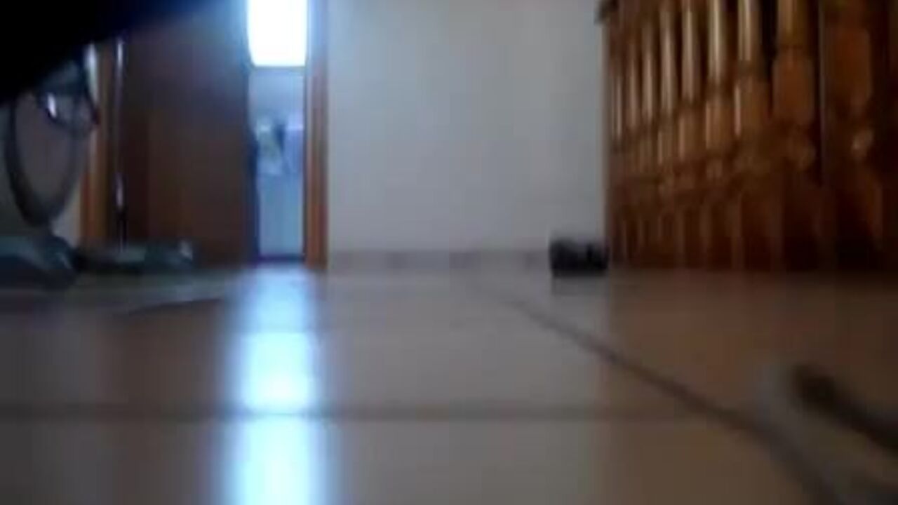 Watch this amateur girl scat on the floor and get shocked with a surprise surprise