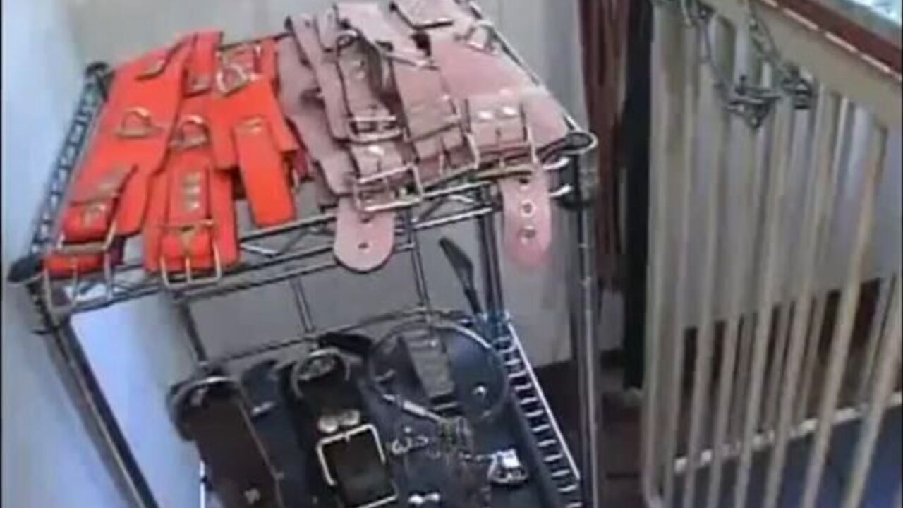 Japanese mistresses cage toilet slave & eat his scat like a champ