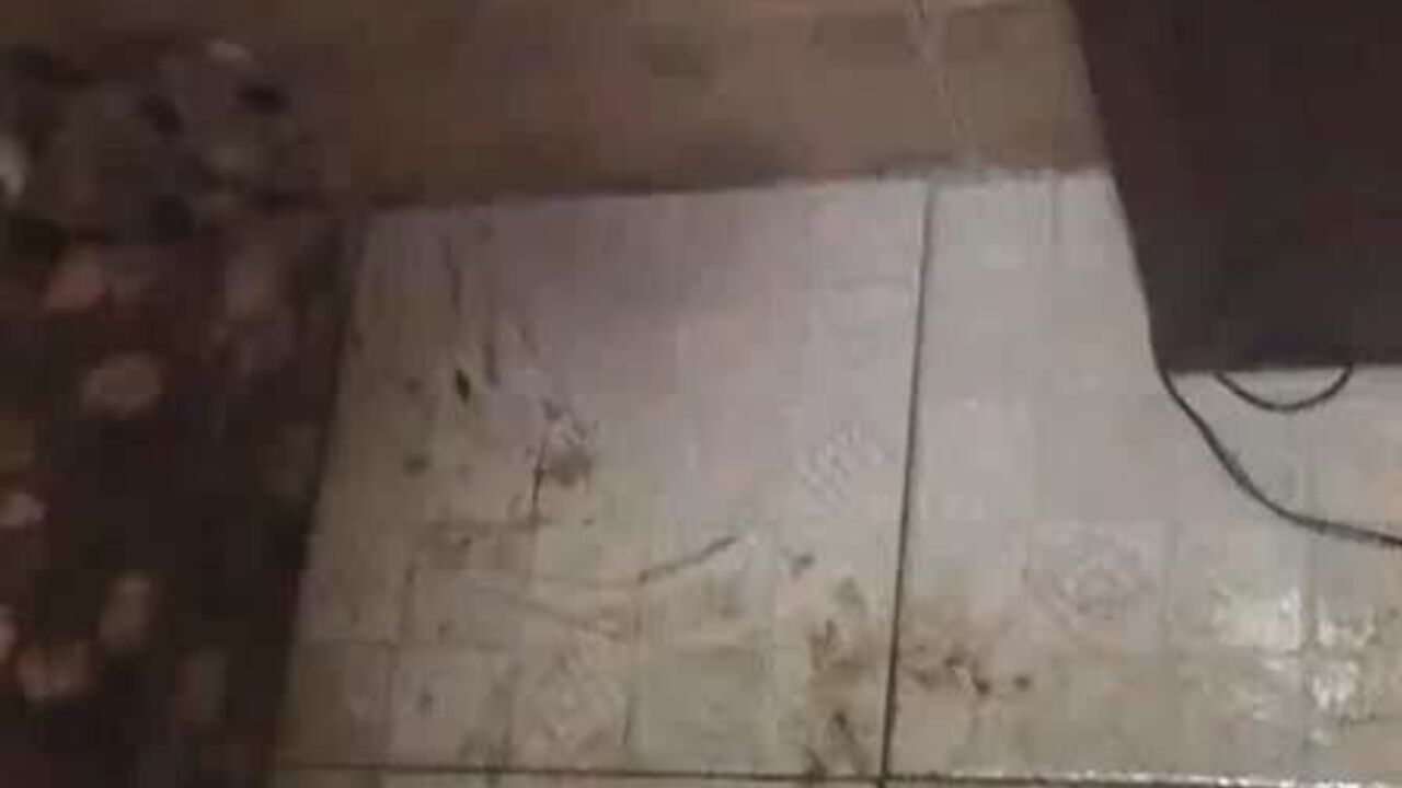 Watch this dirty slut scat in ecstasy while playing with her pussy