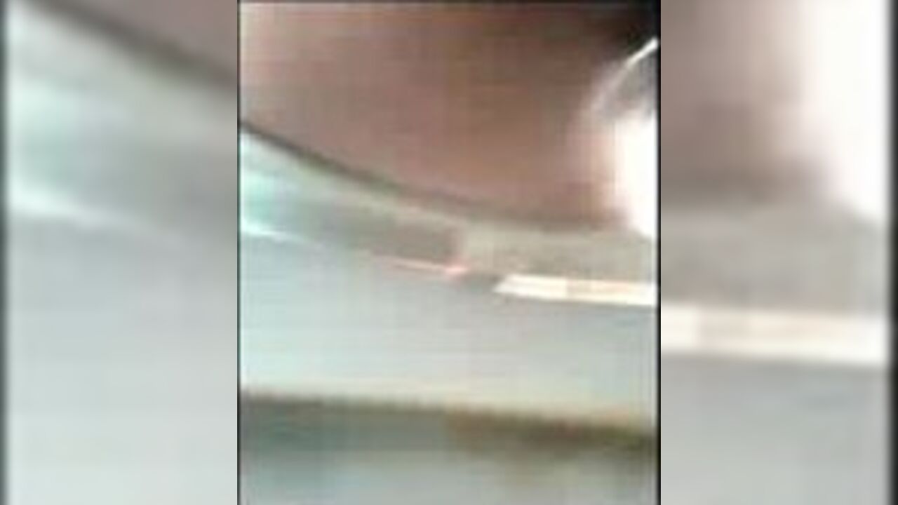 Watch this filthy slave get a taste of big, smelly scat and get ready for more!