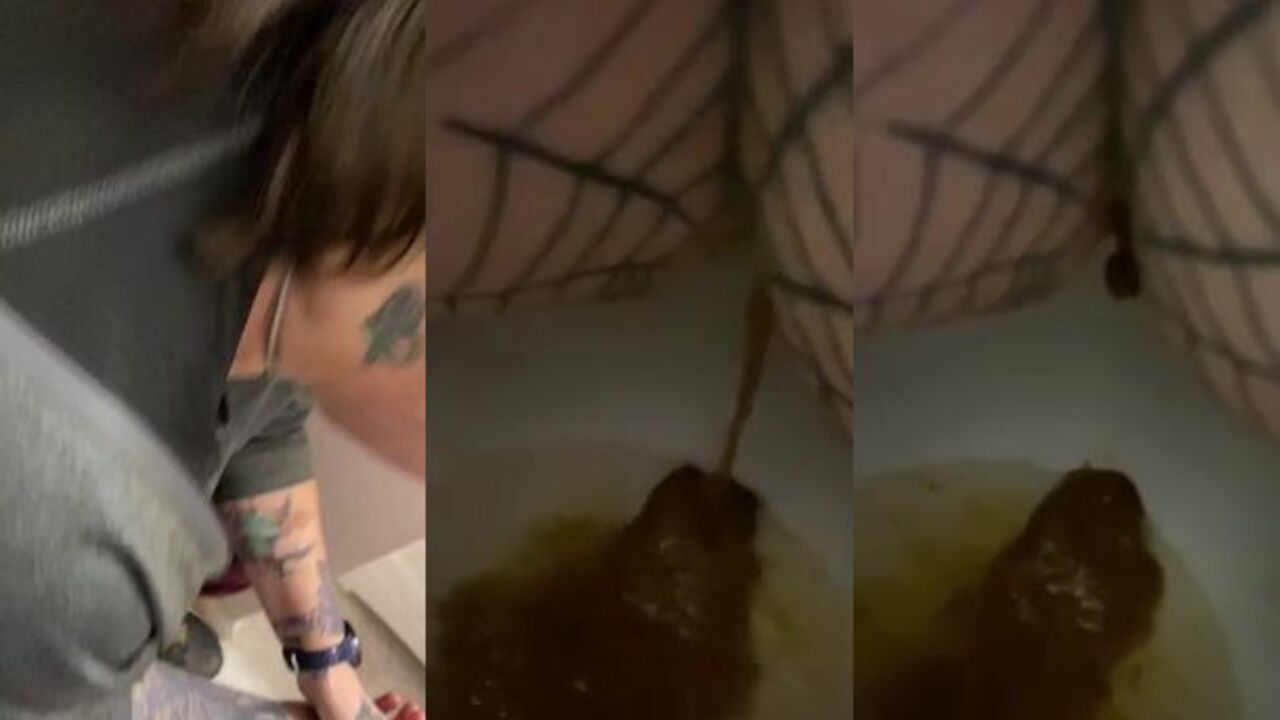 Watch as a scat porn video gets wild with some intense fucking and scatting action!