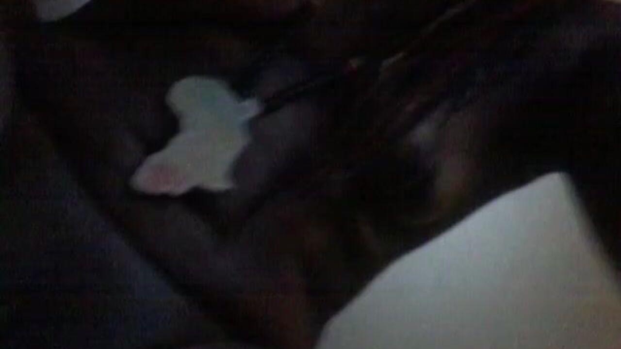 Watch this dirty ebony slut get off on scat porn and pooping like a pro