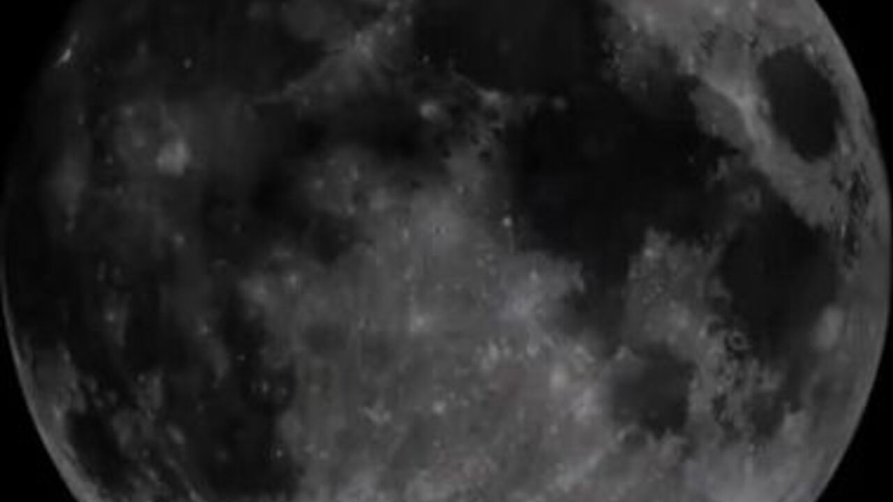 Watch this filthy slut savor every last drop of her own pee while pleasuring herself with a dildo