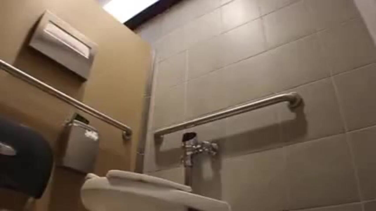 Aurelia Pinches a Loaf in a Public Restroom