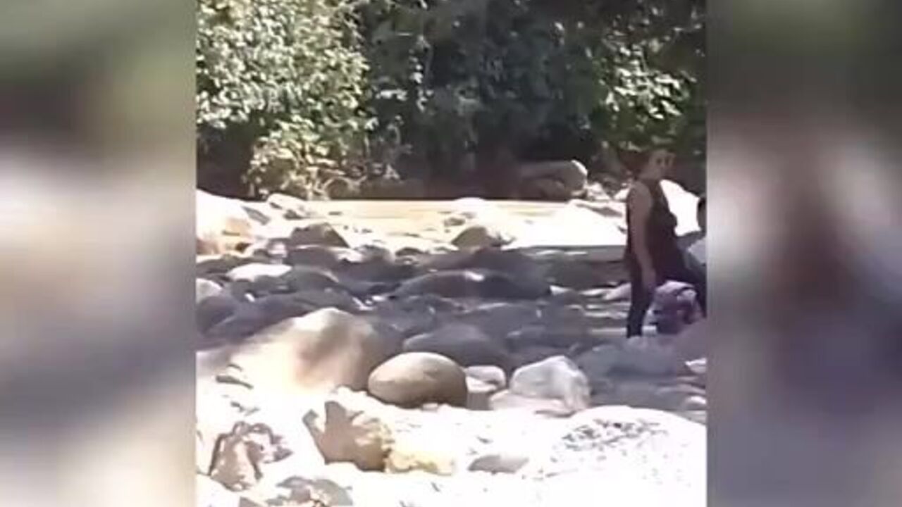 Watch these scat-loving dudes take a good walk and eat some fresh meat