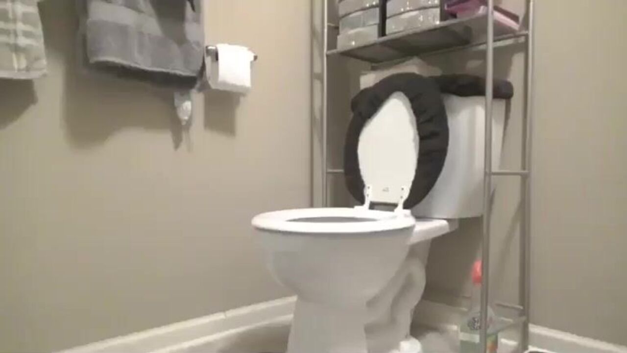 Watch these filthy sluts scat in this wild and kinky video