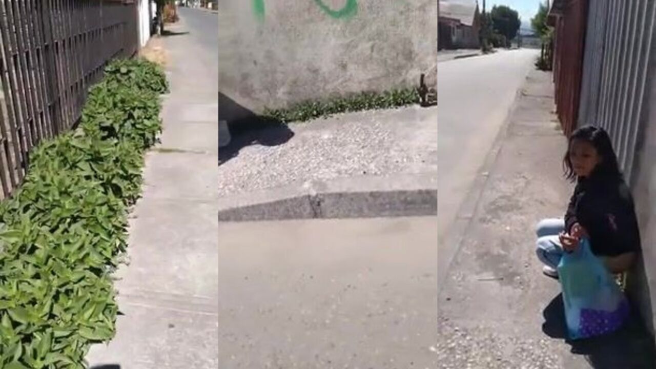 Watch these filthy sluts get their pussies stuffed with scat and more!