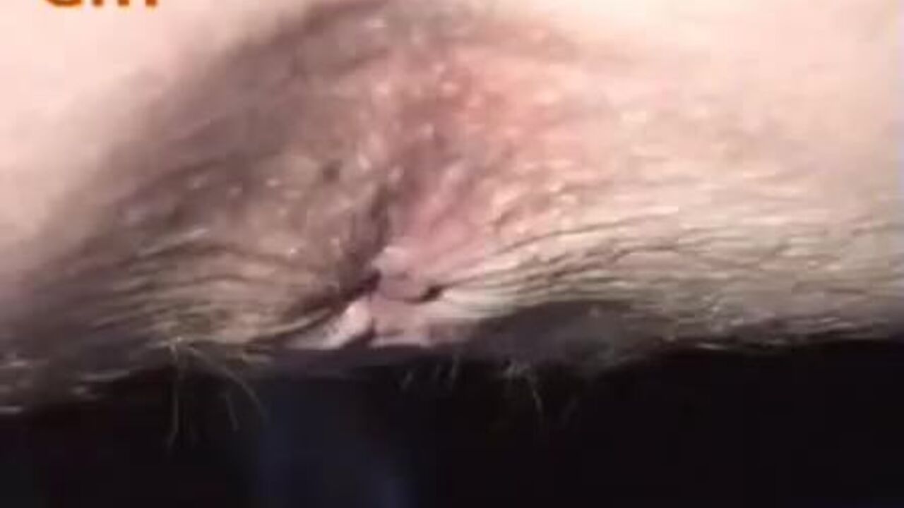 Blonde MILF gets a hardcore scat cleaning in her filthy hooves