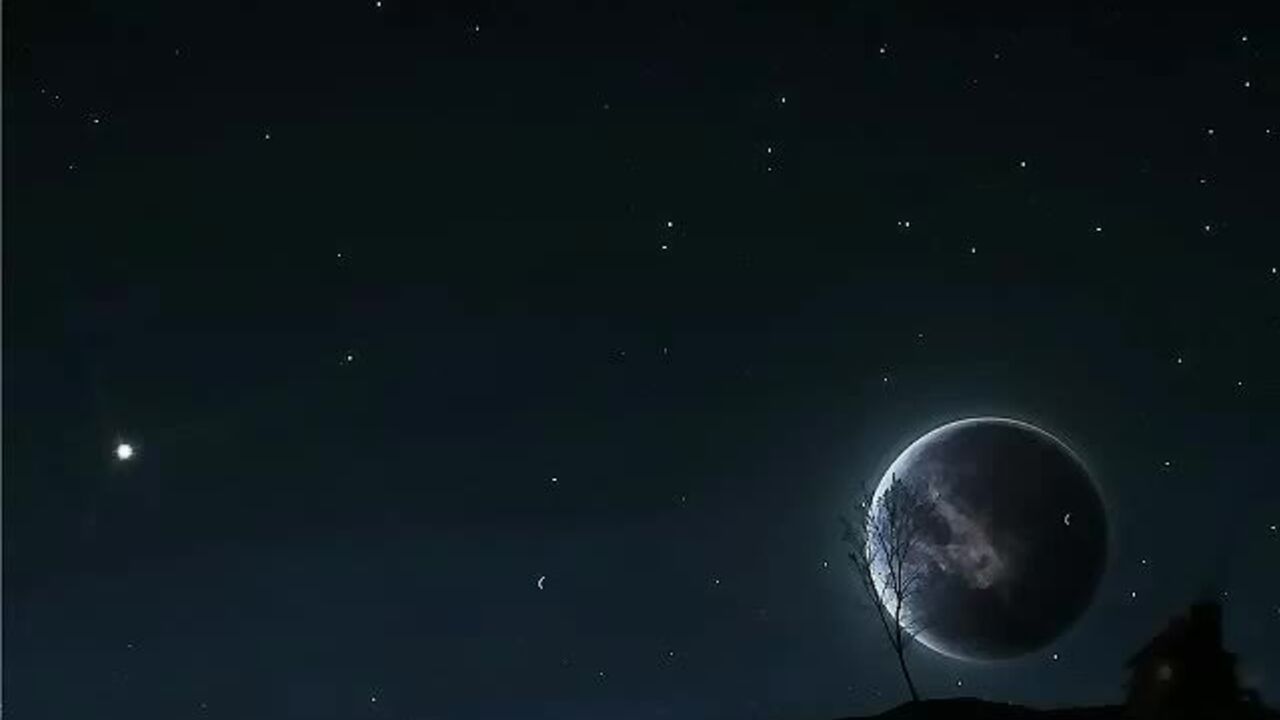 Watch these filthy scats get spread and pounded on toast