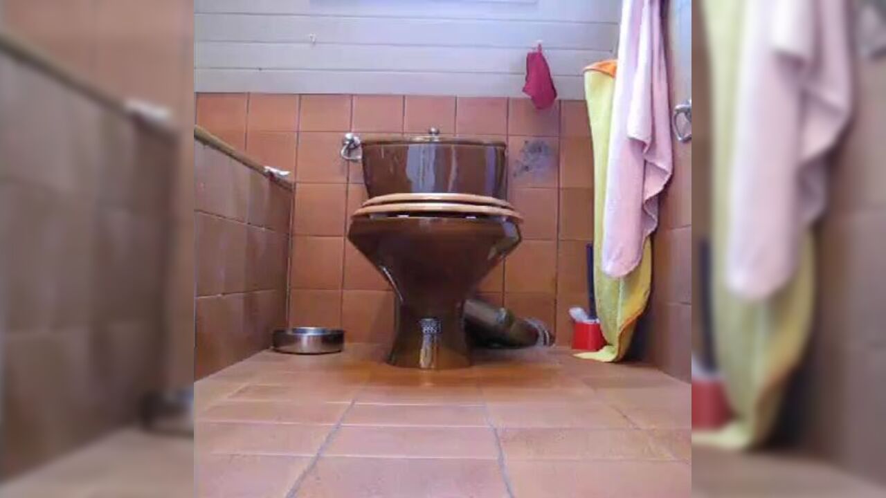 Watch these kinky toilet scats get wild and filthy