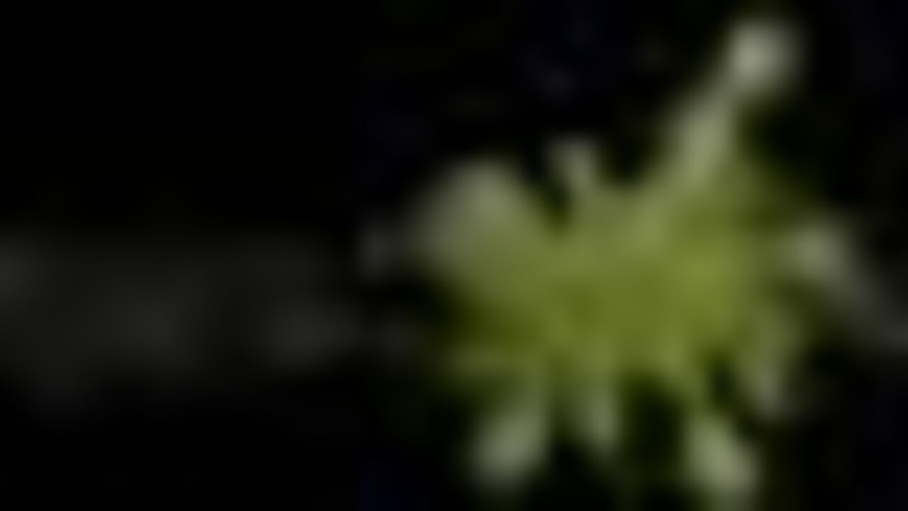 La Fée du Logis is a filthy scat porn video of slaves getting their butts filled with piss