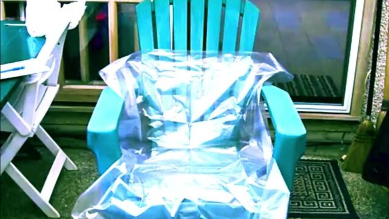 Watch as this pig takes a wild ride in crosswords while getting his scat fix