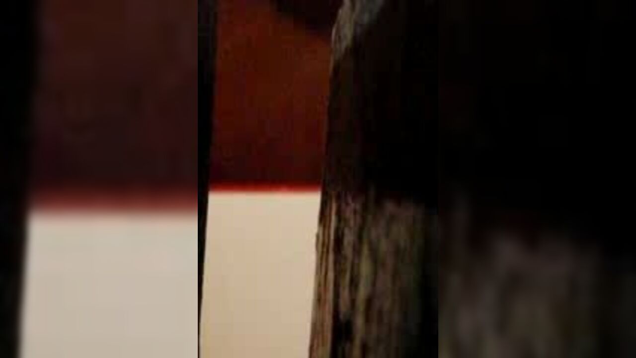 Wild scat porn: a scat porn video of a camping slave getting a hot fuck