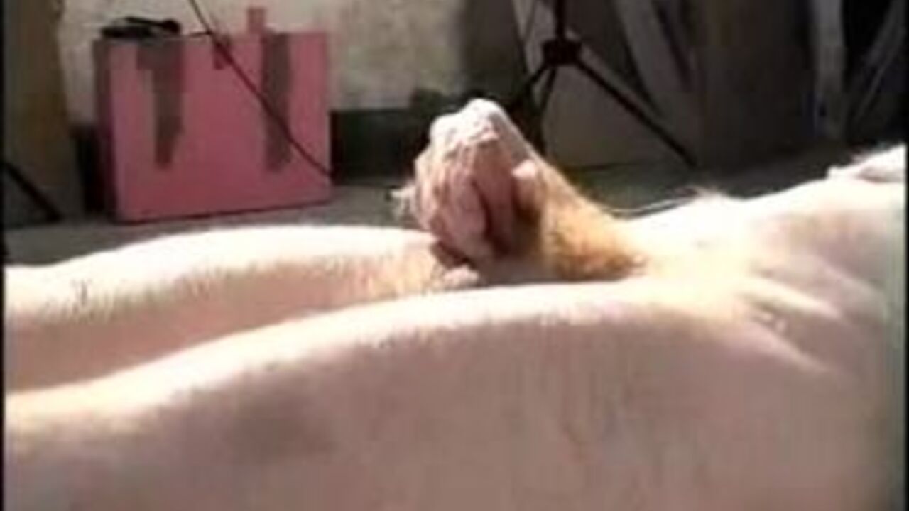 Incest Granny's family eats her shitting up like a pro!