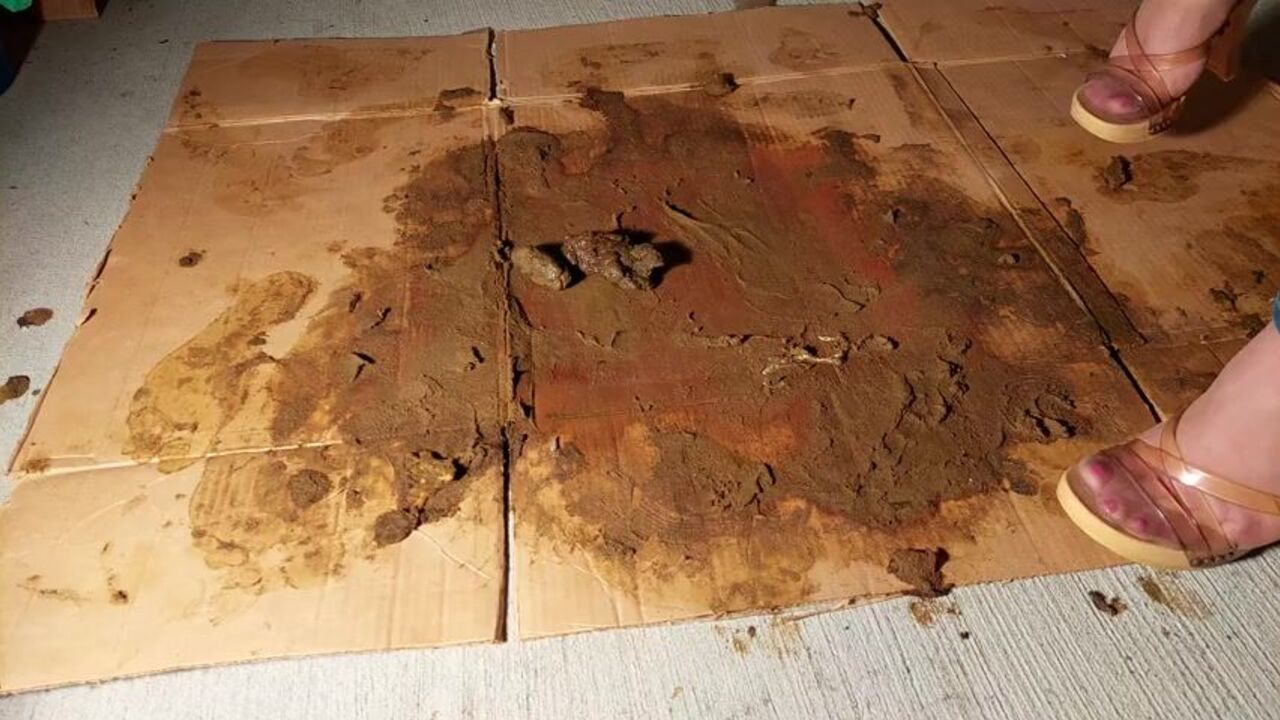 Naughty teen in nylon pantyhose gets a messy scat punishment from her dirty master