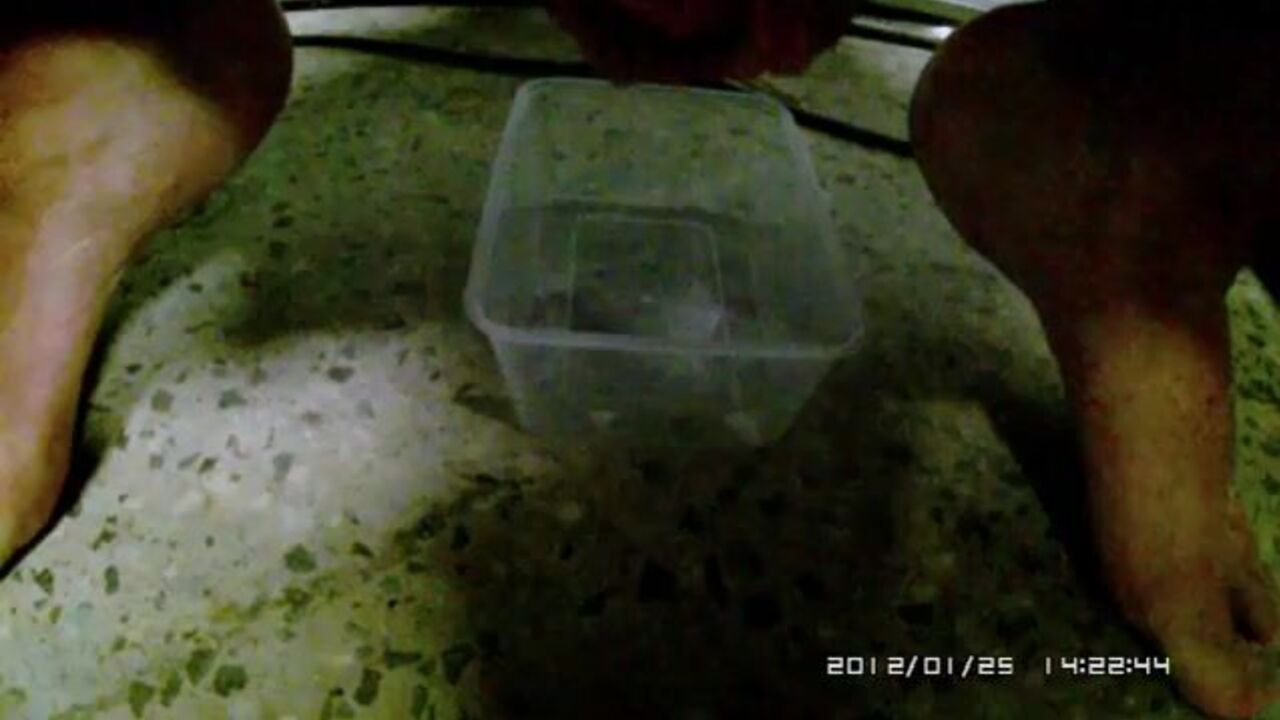 Watch this scatty porno get frozen and reanimated