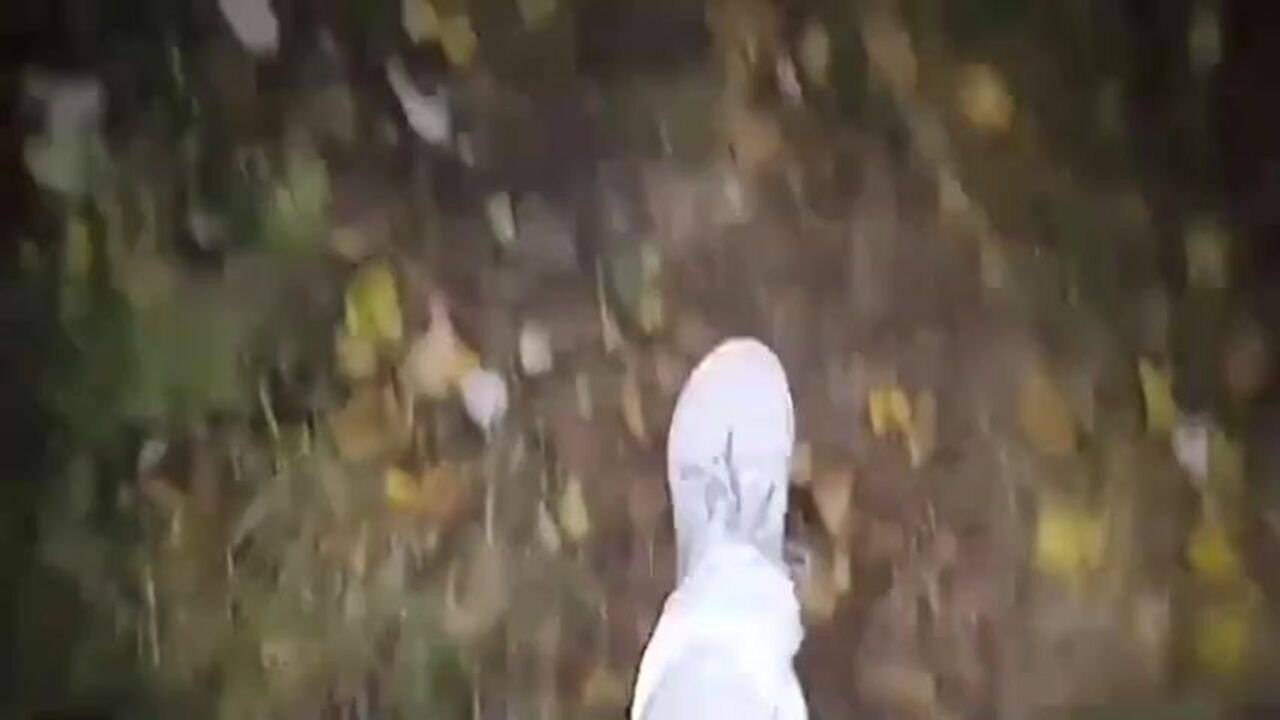 Watch this filthy slut get filthy with scat in the park