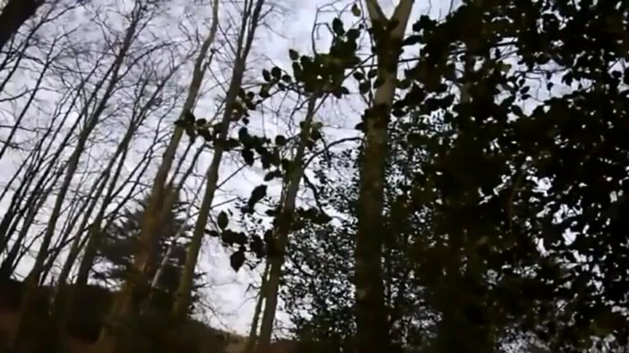 Watch these horny scat girls get down and dirty in nature's call