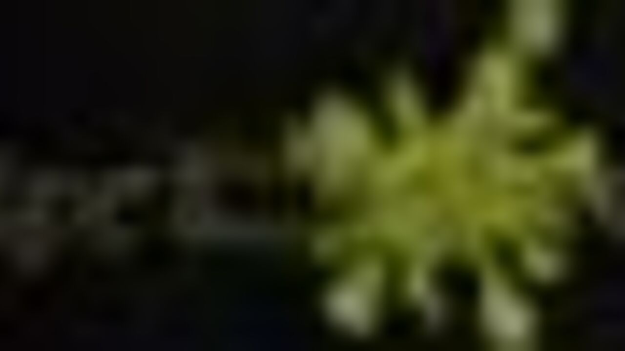 Watch this filthy slut devour fresh bread while getting her holes drilled hard