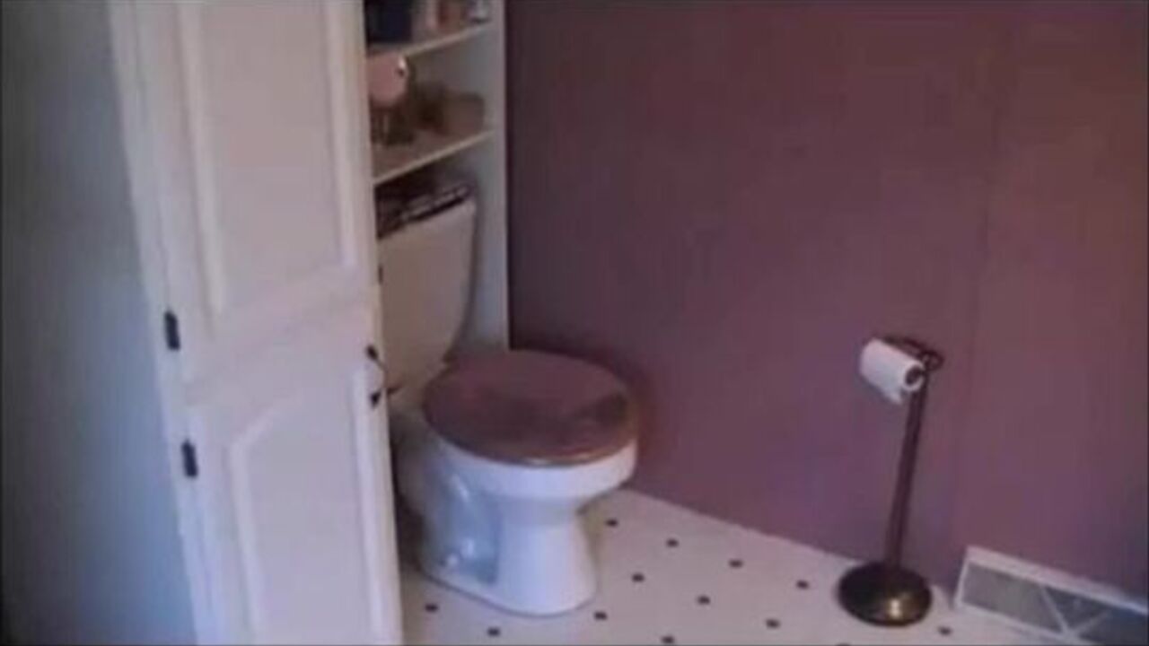 Watch this kinky video of a filthy slut getting her scat toilet satisfied