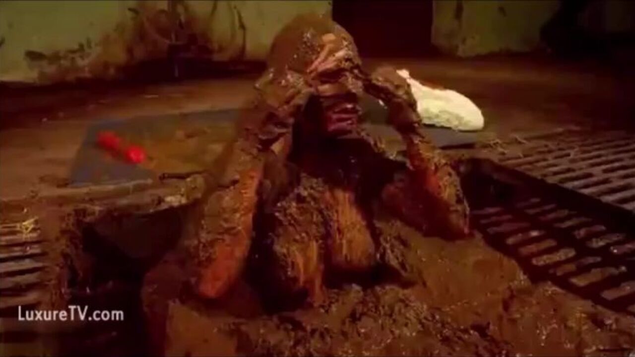 Anders, the bad boy, takes a filthy scat ride in this scat porn video